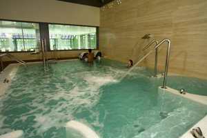 Hotel Solverde Spa